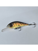 Rege50 - 5.0cm  5g