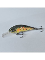Rege50 - 5.0cm  5g