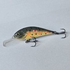 Rege50 - 5.0cm  5g
