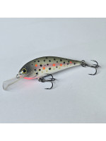 Rege50 - 5.0cm  5g