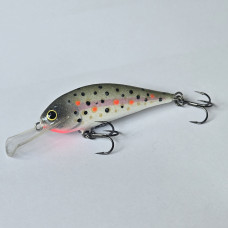 Rege50 - 5.0cm  5g