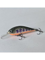 Rege50 - 5.0cm  5g