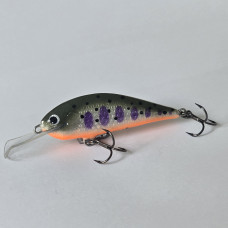 Rege50 - 5.0cm  5g