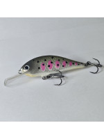 Rege50 - 5.0cm  5g