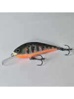 Rege50 - 5.0cm  5g