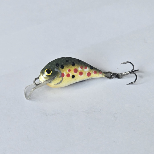 Rege25 - 2.5cm  2.0g