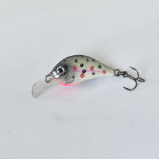 Rege25 - 2.5cm  2.0g