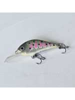 Rege35 - 3.5cm  2.5g