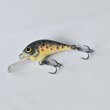 Rege30 - 3.0cm  2.5g