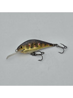RegeFlat40 - 4.0cm  5g
