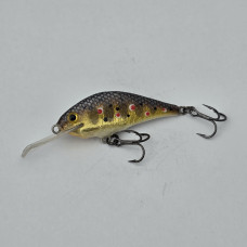 RegeFlat40 - 4.0cm  5g