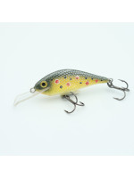 Rege35 - 3.5cm  2.5g