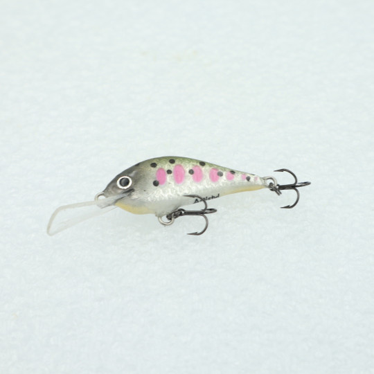 Rege35 - 3.5cm  2.5g